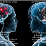 La sociedad del atajo