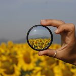The X Factor in Communications: back to basics
